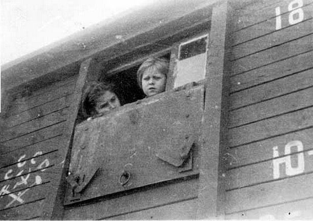 BelarusiansDC's tweet photo. June 29 is a tragic date in the history of #Belarus. On this day in 1940, the largest deportation of #Belarusians to Siberia by the Soviets took place.

In one day, 23,000 Belarusians were loaded into freight cars and taken away. Many of them died or stayed in Siberia forever. https://t.co/yEqUqgAgDV