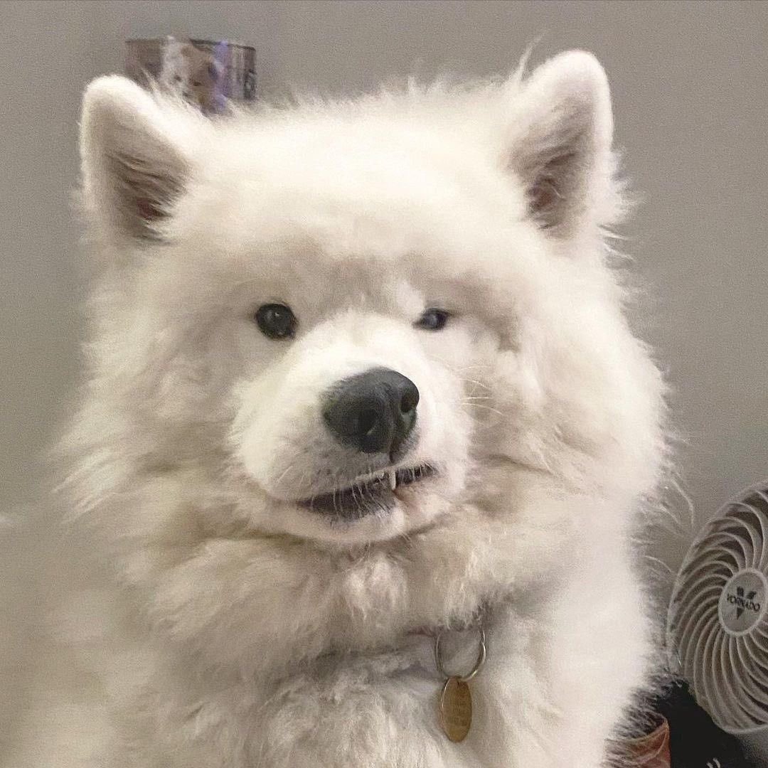 asinisnisa's tweet photo. หึ! จะมาเท่เหมือนกันไม่ได้ https://t.co/ylaMHM92xh