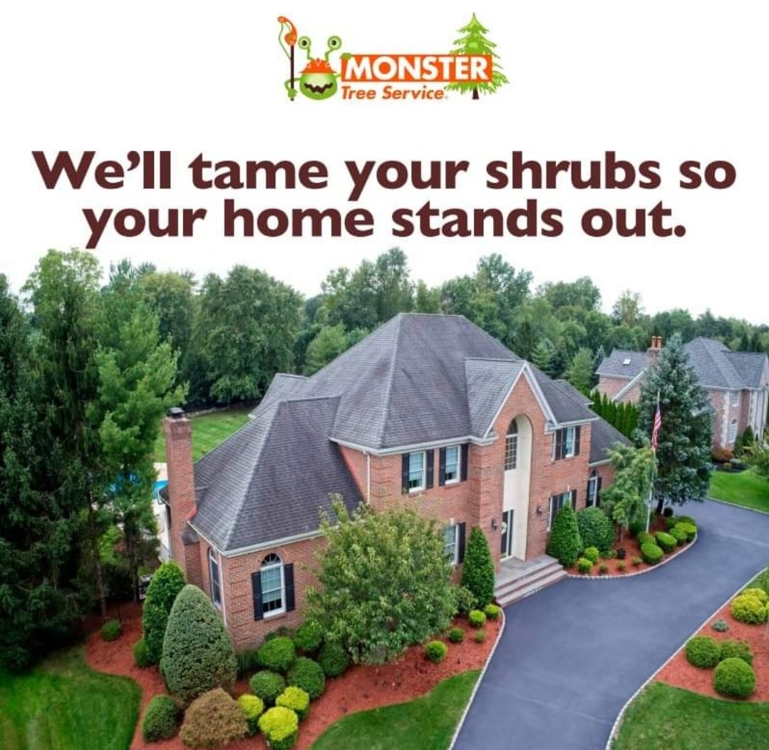 MonsterTreeMD's tweet image. 🌳🌿 Tame Your Trees and Shrubs with Monster Tree Service! 🌿🌳 Let Monster Tree Service help you tame them, ensuring a healthy and beautiful outdoor space. Our expert arborists offer services . Learn more at: fal.cn/3zuSL
#MonsterTreeService #TreeTaming #ShrubCare