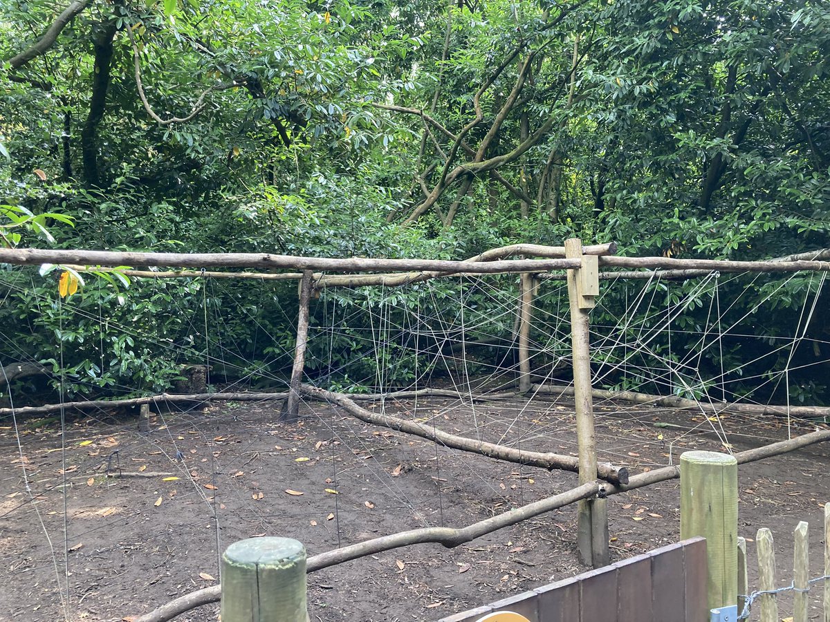 OwlsmoorPrimary's tweet photo. Team building activities this afternoon with a mixture of giant jenga, stacking tyres and the ‘blind folded’ spiders web!

Year 6’s have certainly worked as a team on this residential! ✨ https://t.co/evQiIERVVK