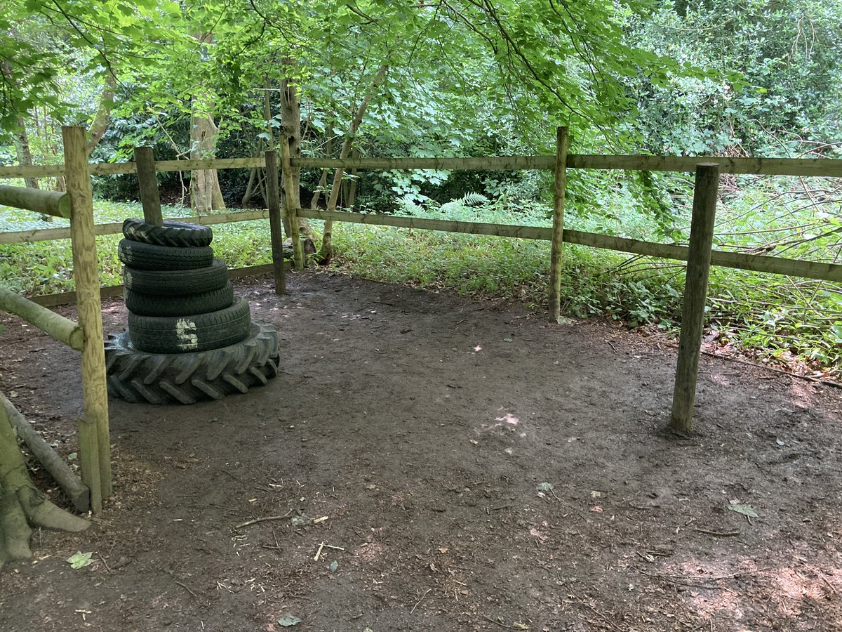 OwlsmoorPrimary's tweet photo. Team building activities this afternoon with a mixture of giant jenga, stacking tyres and the ‘blind folded’ spiders web!

Year 6’s have certainly worked as a team on this residential! ✨ https://t.co/evQiIERVVK