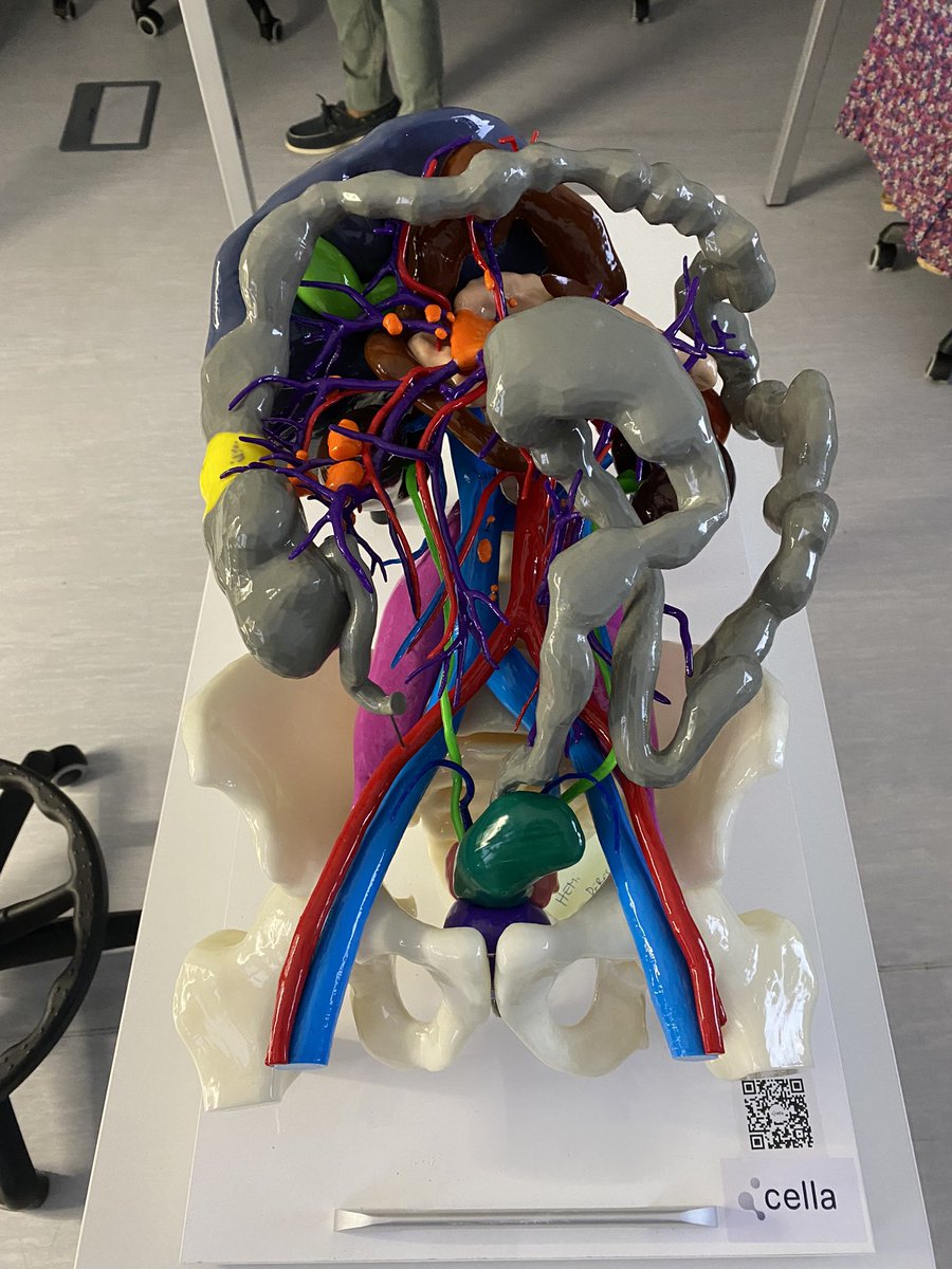 Sebastián Jerí-McFarlane tweet media