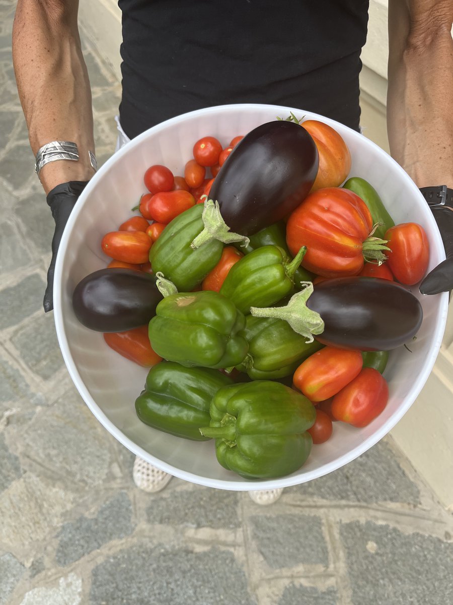 Bogliasco tweet media