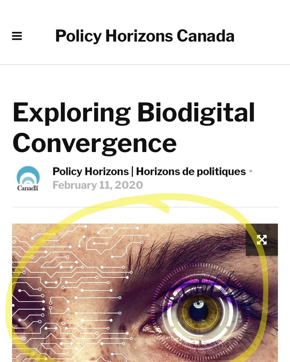 BarelyBook's tweet image. The worst in Canada is Kristel Van der Elst, Director General at Policy Horizons. The former Head of Strategic Foresight in the WEF &amp;amp; current CEO of the Global Foresight Group in Geneva controls all 4 of the terrorists you just mentioned.  
 horizons.gc.ca/en/2020/02/11/…