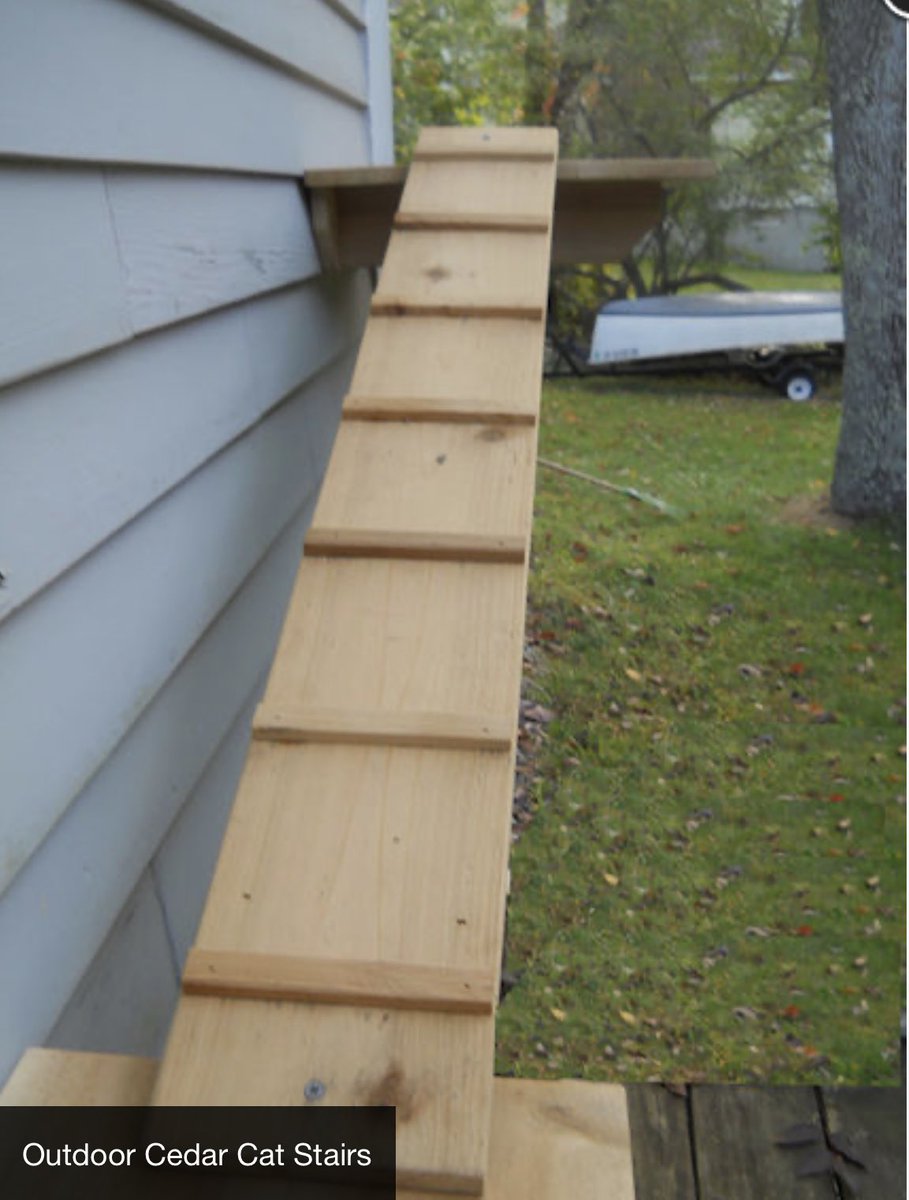 PetClassics's tweet photo. Outdoor Cedar Cat Ramps

Made with weather and bug resistant cedar and sanded to a smooth surface. Shipped unfinished, the cedar cat ramps will weather to a light gray patina or you can seal, paint or stain.

https://t.co/m2UHuFB3Cz

#Cat #catramps #outdoorcat https://t.co/EYqxNbFCPd