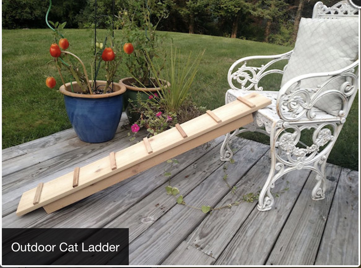 PetClassics's tweet photo. Outdoor Cedar Cat Ramps

Made with weather and bug resistant cedar and sanded to a smooth surface. Shipped unfinished, the cedar cat ramps will weather to a light gray patina or you can seal, paint or stain.

https://t.co/m2UHuFB3Cz

#Cat #catramps #outdoorcat https://t.co/EYqxNbFCPd