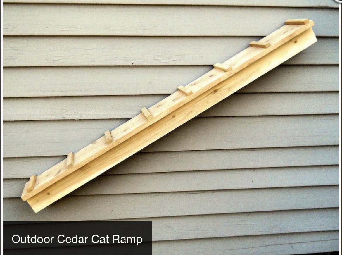PetClassics's tweet photo. Outdoor Cedar Cat Ramps

Made with weather and bug resistant cedar and sanded to a smooth surface. Shipped unfinished, the cedar cat ramps will weather to a light gray patina or you can seal, paint or stain.

https://t.co/m2UHuFB3Cz

#Cat #catramps #outdoorcat https://t.co/EYqxNbFCPd