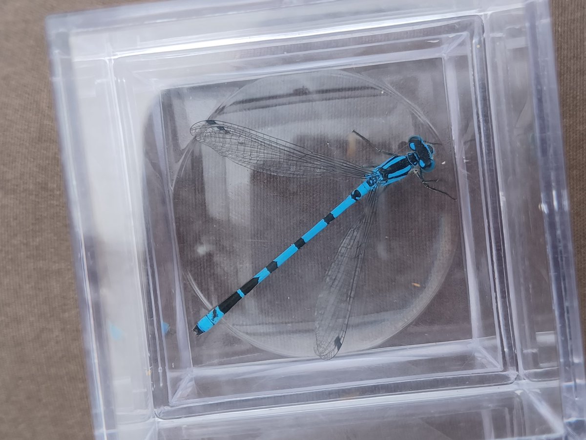 Brixworth & Brampton Country Parks tweet media