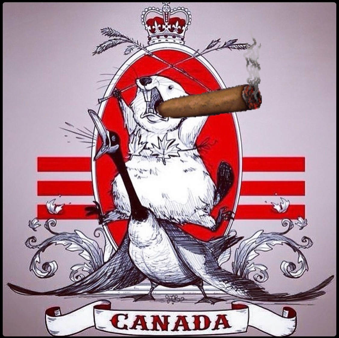 HAPPY 🇨🇦 DAY! All 3 shops will be CLOSED on Saturday July 1st, but we're OPEN Friday June 30 so drop in and stock up! - mailchi.mp/villagecigarco… 
@DTBurlingtonON @OakvilleDwntown @DowntownGuelph 
@VCCBBurl @VCCBOak @VCCBGph