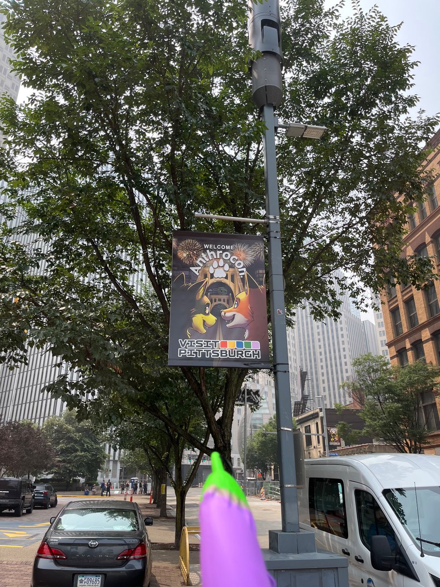 The haze is real. Cool to see the banners around the city, though!