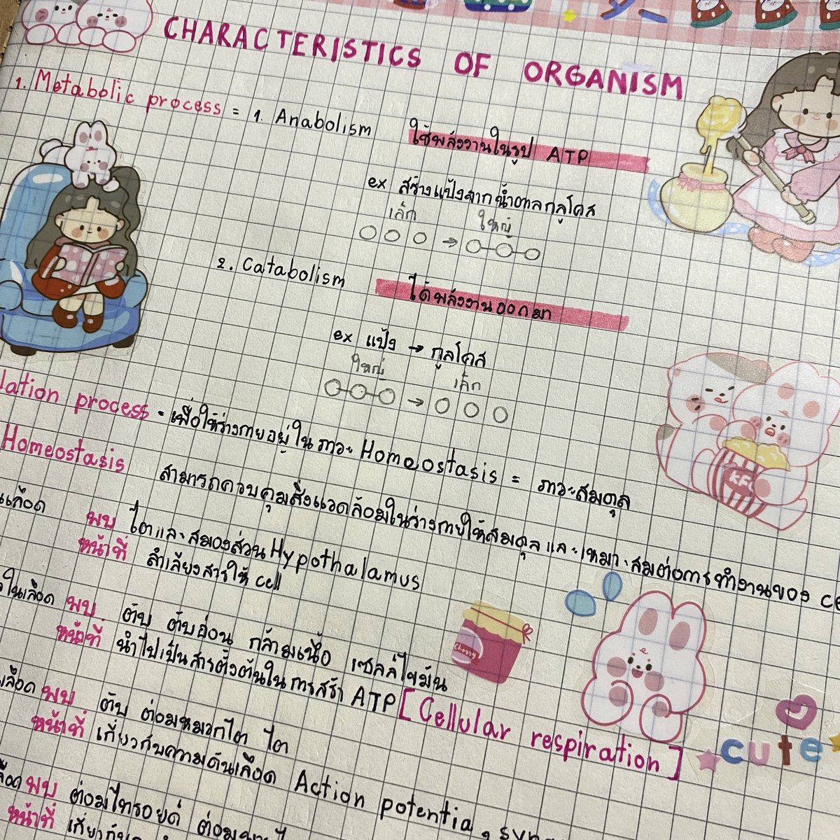 fifaaa06's tweet image. D-26💓
-พยายามกลับมาอ่านหนังสือรอบที่ล้านแต่สู้กับใจตัวเองยากมาก~_~
-Bioเราสรุปใหม่เพราะว่าอันเก่าอ่านเเล้วรู้สึกใช้สีเยอะเกินเเสบตาสุดๆ คิดว่าพน.น่าจะสรุปจบจริงๆล่ะ💪🏻