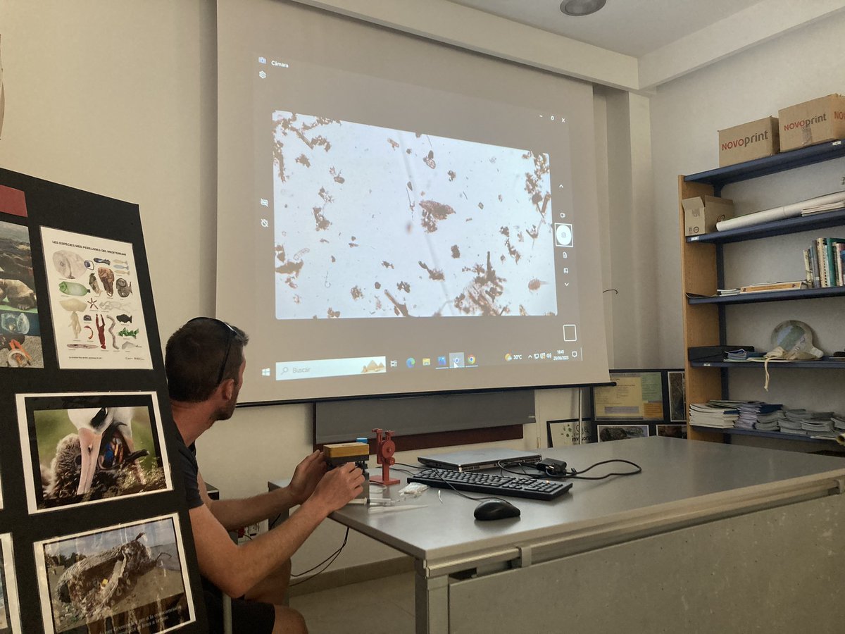 BlueRevolutionProject tweet media