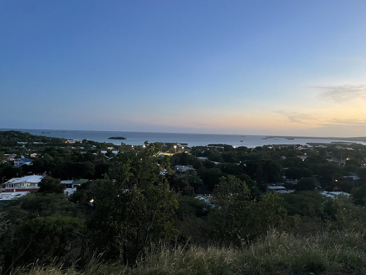 Happy to announce that I will be joining the @uprm Biology Department as an assistant professor. I look forward to building the Virus Diversity And Bioinformatics (ViDAB) Lab! Currently recruiting masters students interested in coral reef viruses, please share :) #viruses #newpi