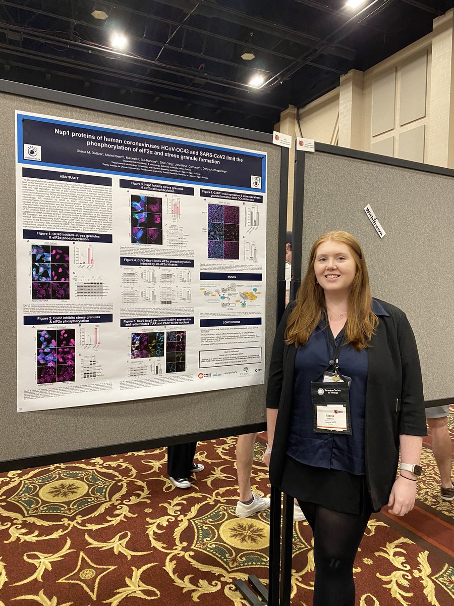 stacia_dolliver's tweet photo. That’s a wrap on #ASV2023! Had a wonderful time meeting with other virologists and sharing my research on coronaviruses and stress granules. Thanks @AmerSocVirol for another great meeting ! https://t.co/BFiNCceVp4