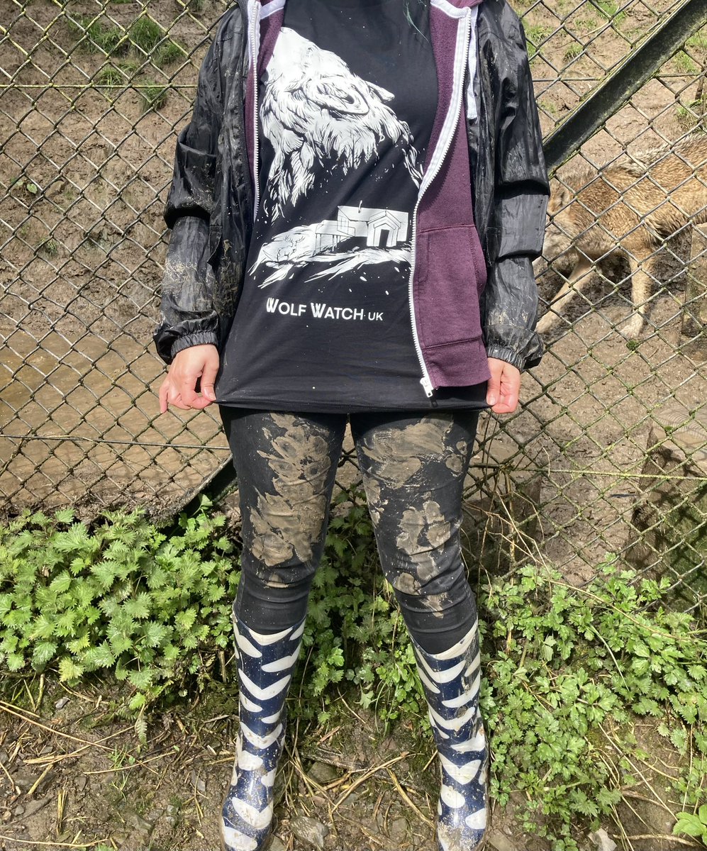 WolfWatch_UK's tweet photo. We are happy to announce that our 2023 Wolf Watch UK shirt is now on our shop! UK shipping only and this is included in the price! This tee was designed by our volunteer Michelle/WOLFSKULLJACK https://t.co/jNZxwzW3c5 https://t.co/jHjaHoRsOZ