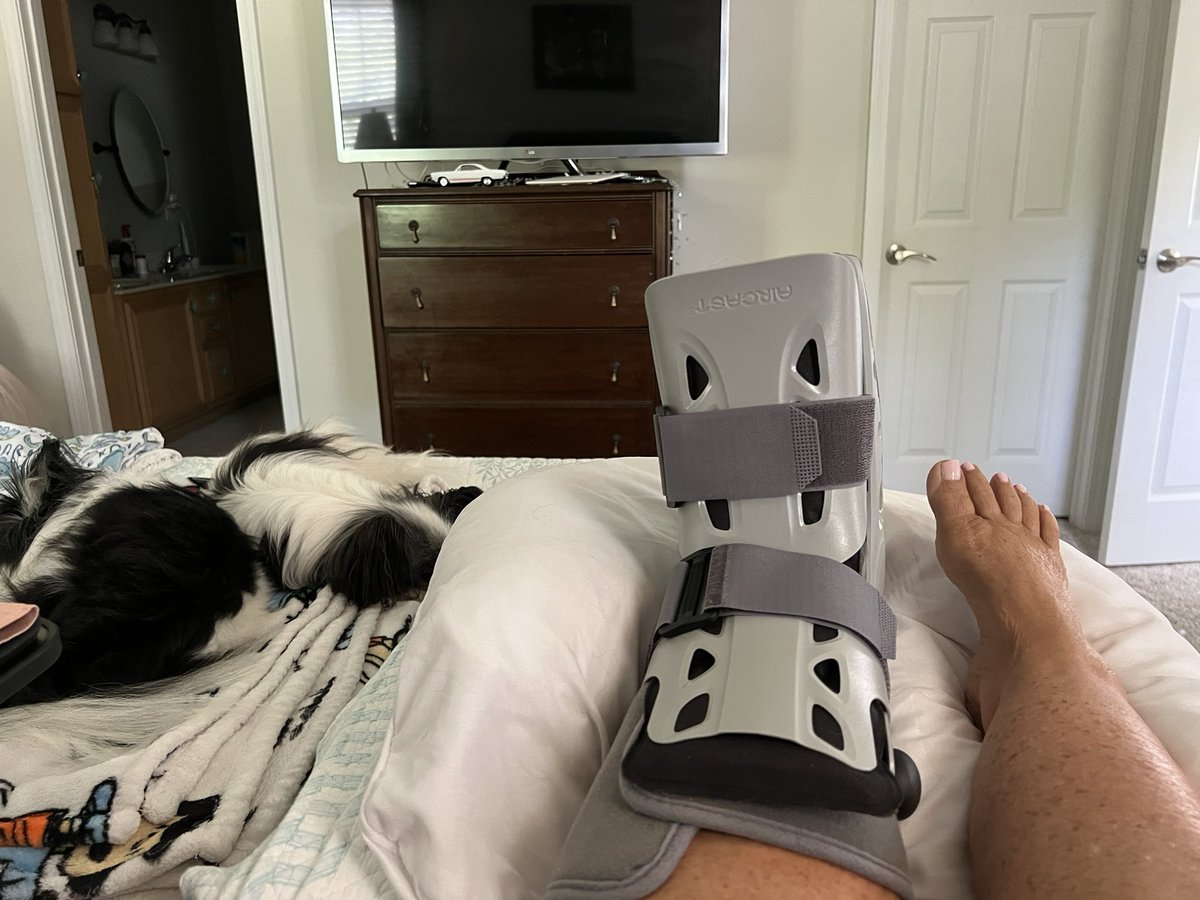 RoeRoe2023's tweet image. Day #2…post op foot surgery: I’m popping Oxys, watching Discord tutorials and here’s my staff of two dog nurses sleeping on the job. #jaybonation #13thjurors #winemoms