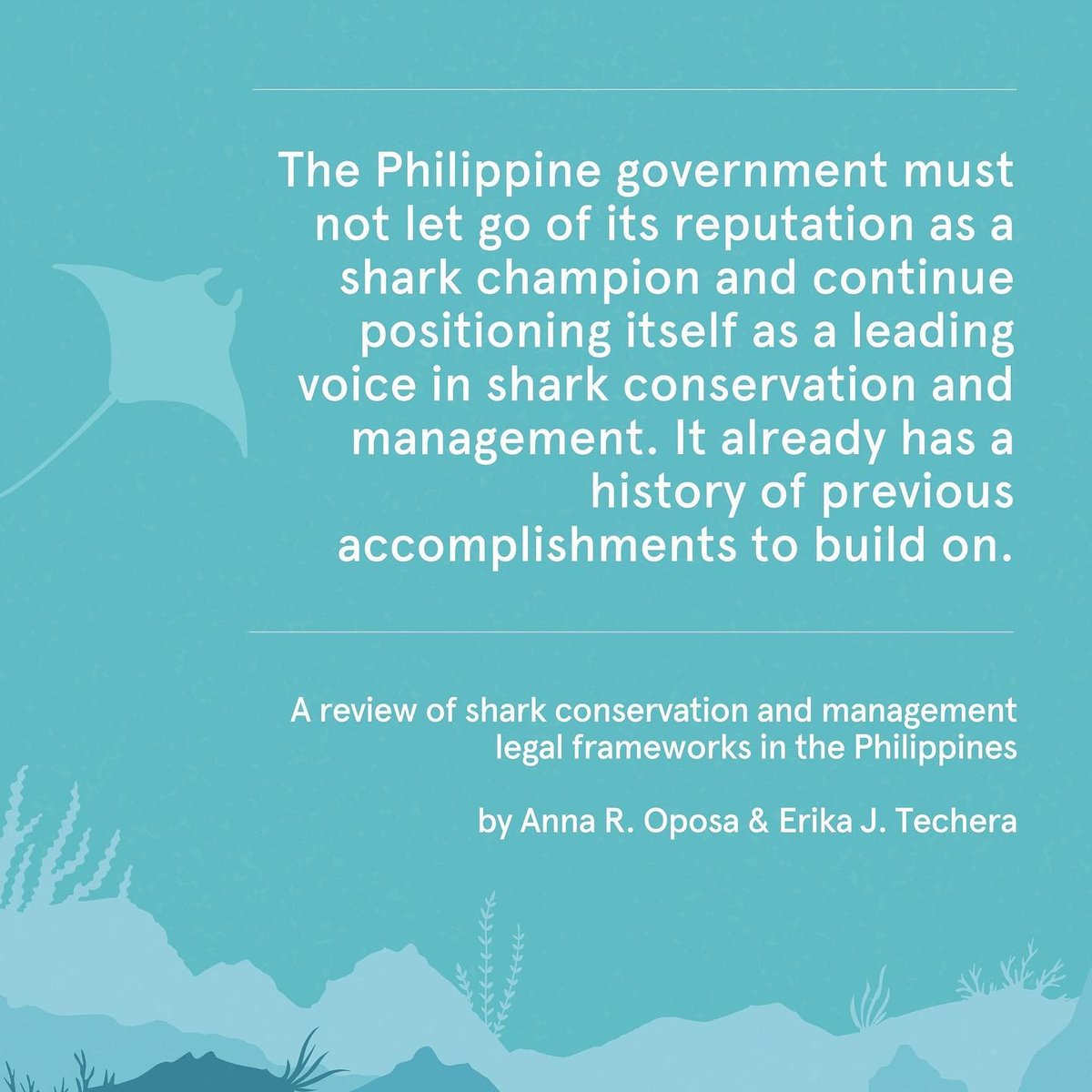 Reposted from @marinewildlifewatchph A poli-sea paper on sharks in the Philippines by @annaoposa and Dr. Erika Techera has been published on Marine Policy! If you’re interested in law, governance, and sharks, this paper is for you! doi.org/10.1016/j.marp…
