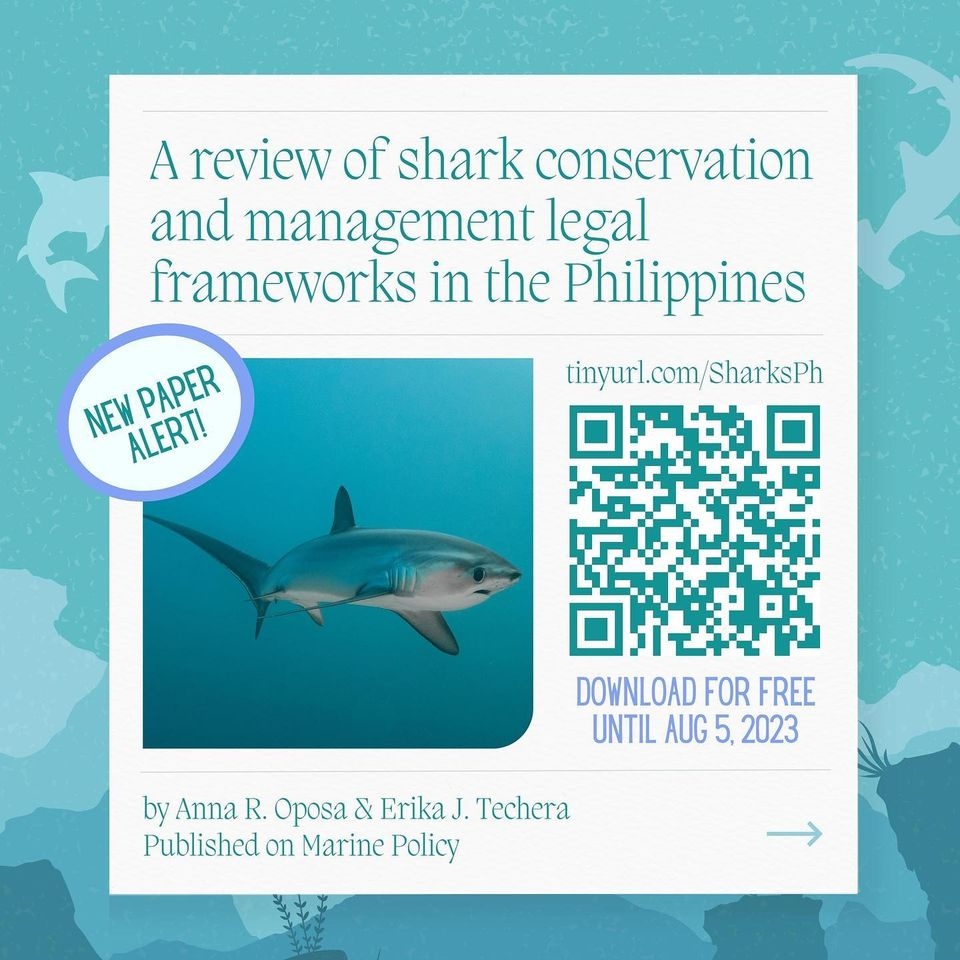 Shark Education tweet media