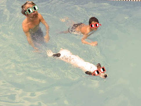 abbakeen's tweet image. gm amigos ☕️