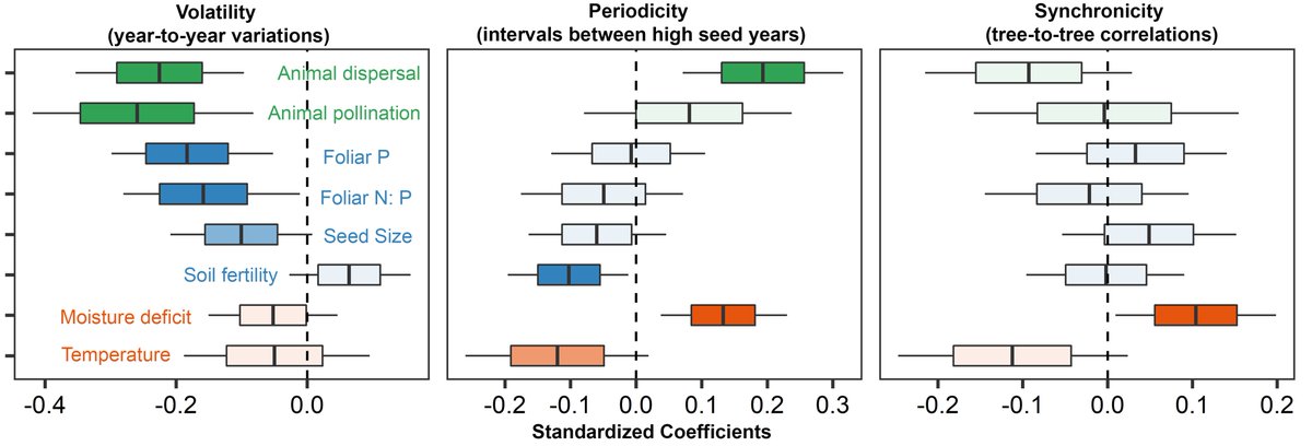 tongqiu_geog's tweet photo. Erratic seed crops may help trees confound their seed #predators, but what does it do to the seed #dispersers they may need to ensure successful germination🌱? We introduce three elements of #masing and provide answers at https://t.co/wiwfvWnFrO @NaturePlants @penn_state https://t.co/6LeETeapeH