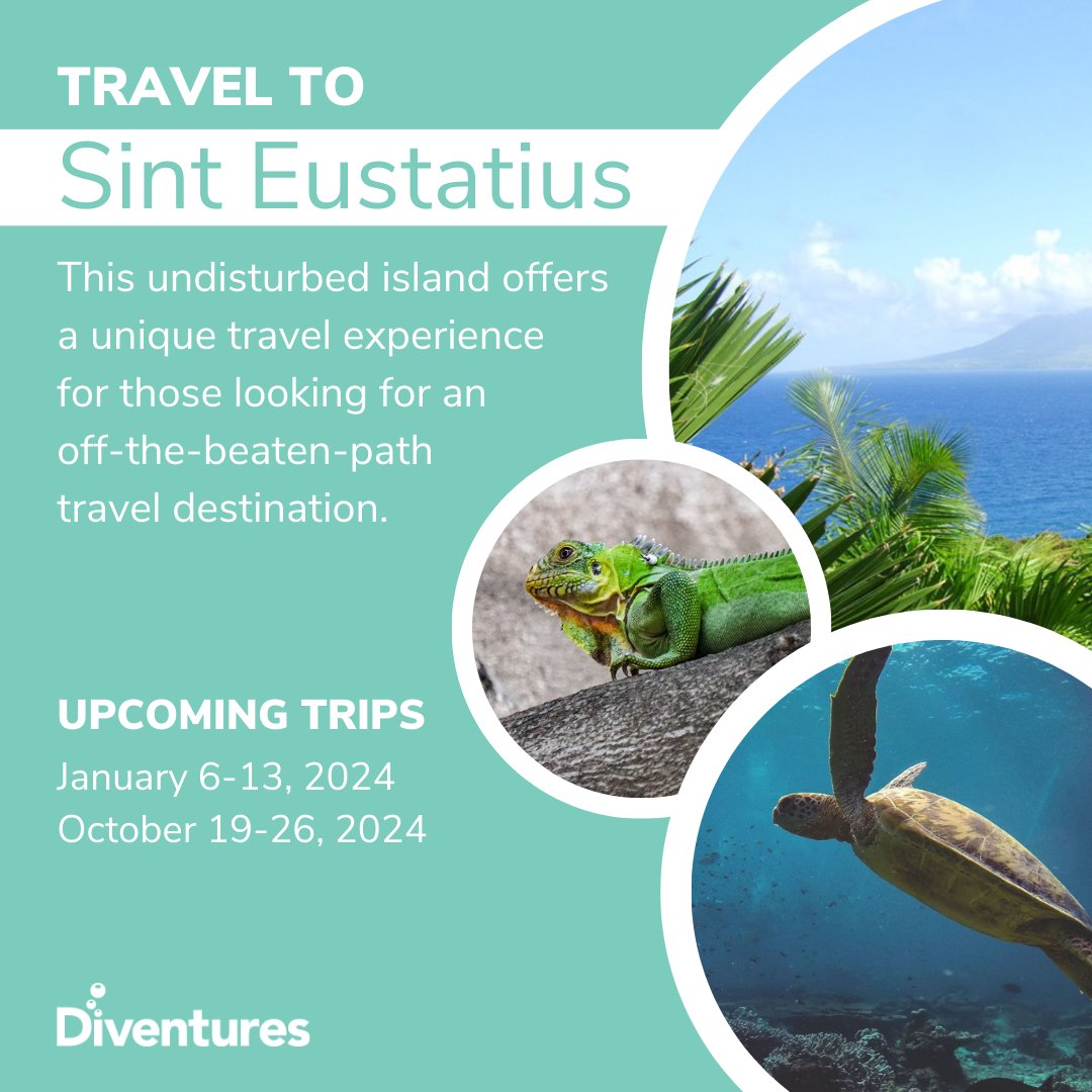 Diventures's tweet image. Whether you’re an experienced diver or a beginner, Sint Eustatius offers a unique and memorable diving experience. 🌴  
-
Learn more by visiting diventures.com/travel/sint-eu…
-
Photo Credit: STENAPA &amp;amp; Golden Rock Dive and Nature Resort
#statia #scubatrips #diventures