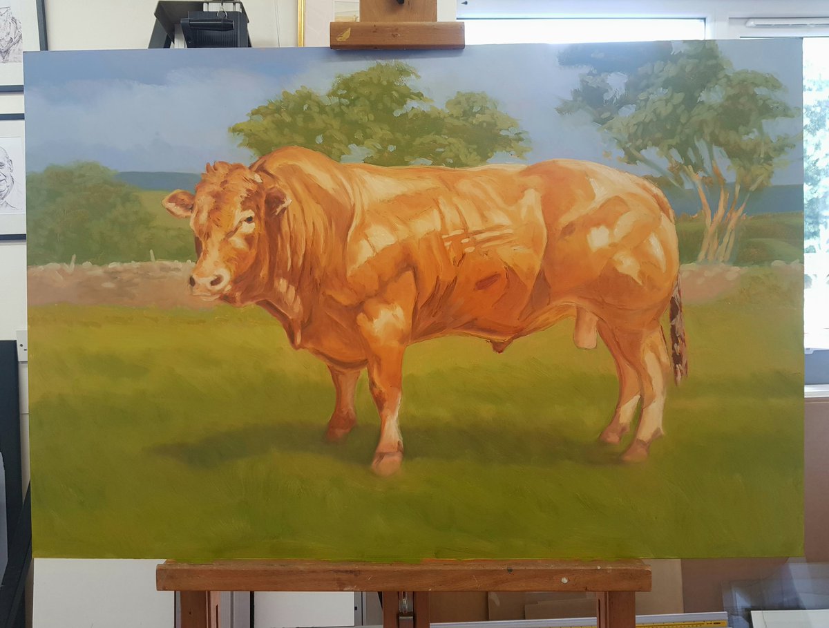 ImagesBeck's tweet image. Progress on my current #oilpainting of a #limousin #bull. Still lots of work to do. I will be taking it to the #skeltonshow this Saturday as a demonstration piece. Call by and say hello if you are going to be there 🙂