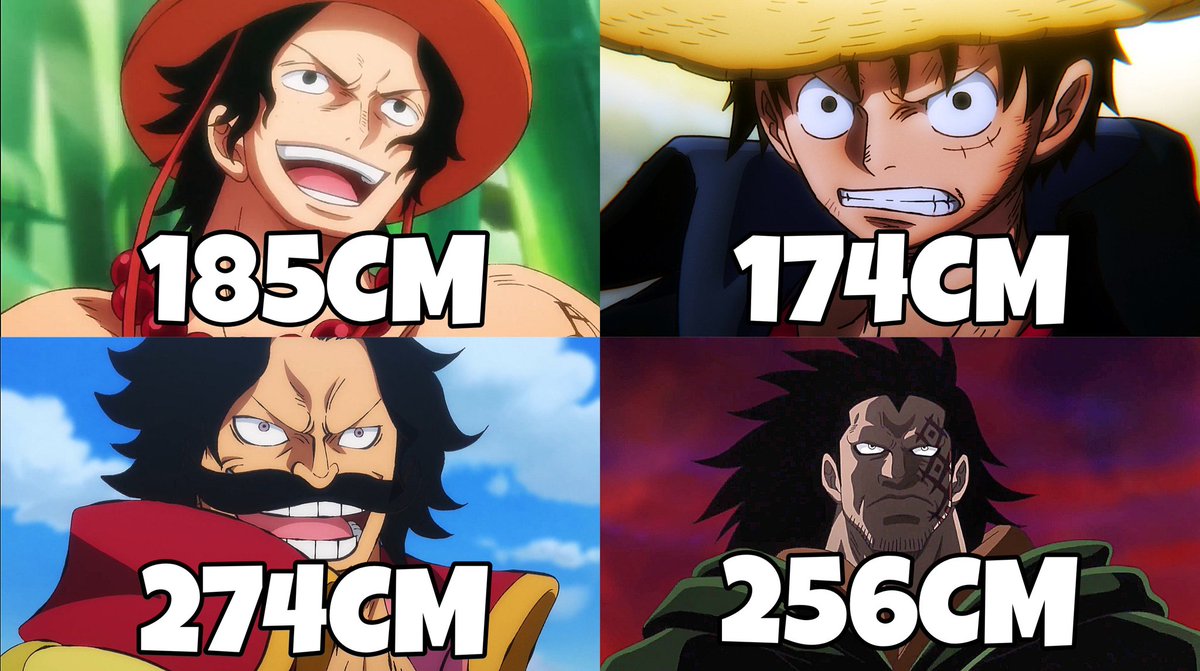 One Piece logic 💀