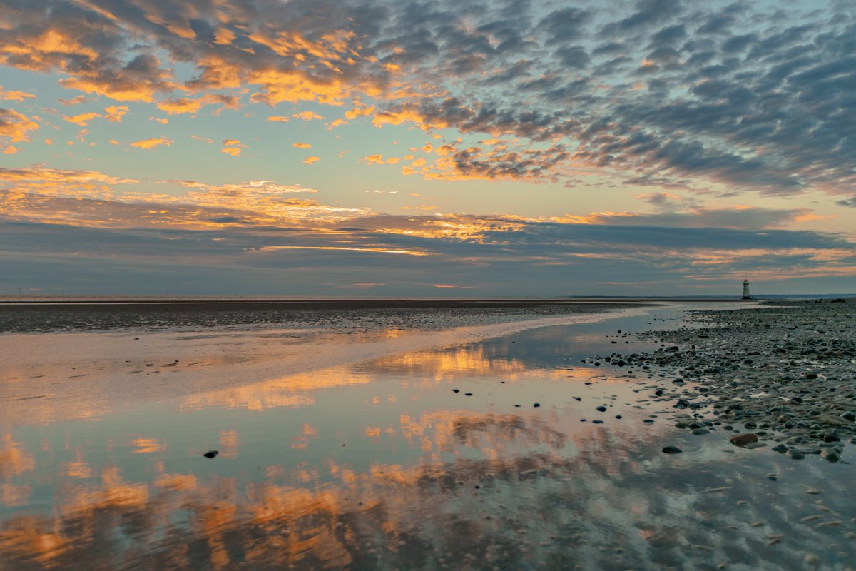 ourdeeestuary's tweet photo. 🌊 SHORESEARCH 🌊
3/3
In July we’ll be starting a series of Shoresearch activities and training events so keep a look out for events and ways to get involved...
📷 Robin Rowe
#ourdeeestuary #lovemyestuary #shoresearch #strandline #beach #coast #mudflat #mud https://t.co/vFdM8VUObC