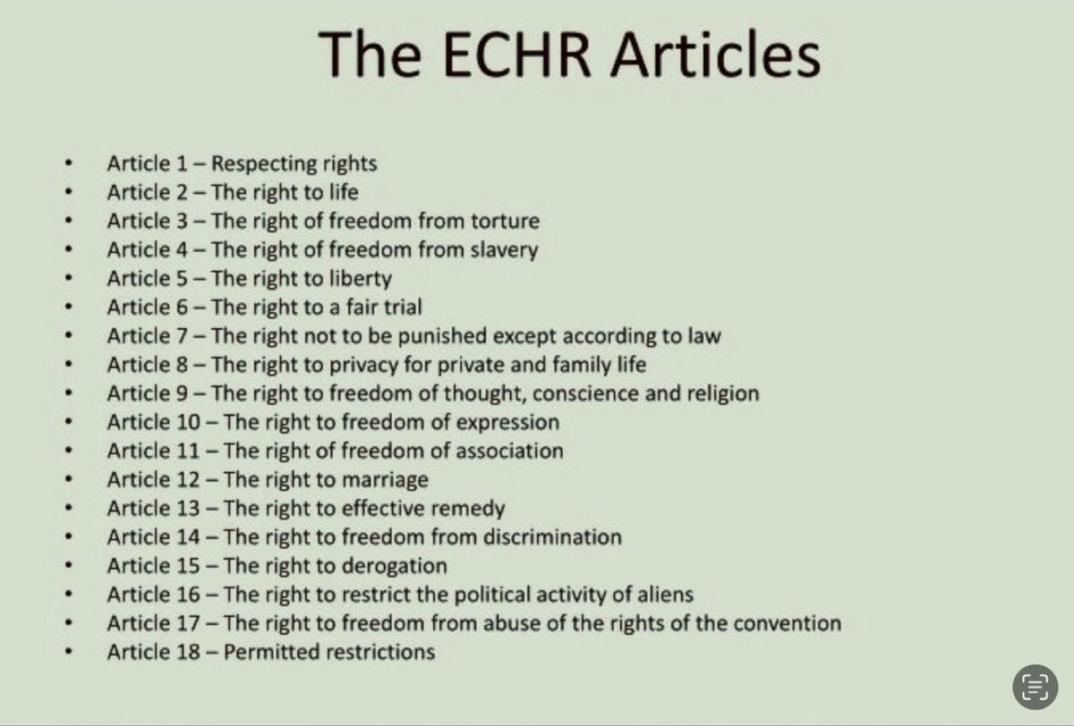 Multiple Tories are speaking of removing the UK from the ECHR. The ECHR of which we were a founding member has given us the following. We MUST not let them use their illegal Rwanda scheme to whip us up into ceding OUR rights. Rise Up #StandUpForYourRights #RiseUp #ToriesOut357