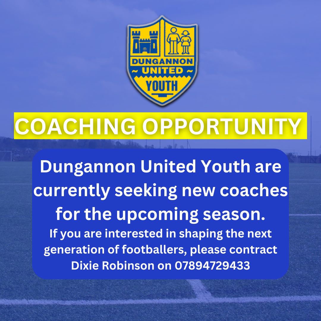 Dungannon Swifts FC tweet media