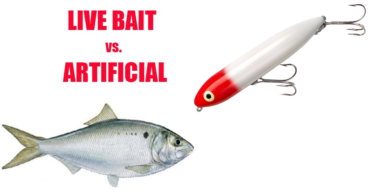 One of my favorite topics! Pros and Cons to using artificial lures and plastics!

centralpabassfishing.blogspot.com/2023/06/plasti…

#plastics #livebait #centralpabassfishing