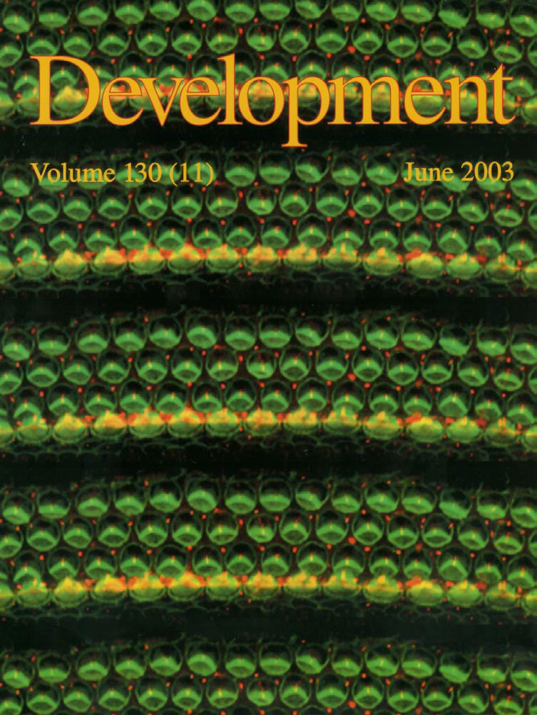 Dabdoub Lab (@labdabdoub) on Twitter photo 20 years ago! When @NIDCD working on #Wnt and #PlanarCellPolarity Cover of <a href="/Dev_journal/">Development</a>. <a href="/UofT_LMP/">Department of Laboratory Medicine & Pathobiology</a> <a href="/uoftmedicine/">Temerty Medicine</a> <a href="/Sunnybrook/">Sunnybrook Health Sciences Centre</a> #Cochlea #InnerEar 20 years ago! When @NIDCD working on #Wnt and #PlanarCellPolarity Cover of <a href="/Dev_journal/">Development</a>. <a href="/UofT_LMP/">Department of Laboratory Medicine & Pathobiology</a> <a href="/uoftmedicine/">Temerty Medicine</a> <a href="/Sunnybrook/">Sunnybrook Health Sciences Centre</a> #Cochlea #InnerEar