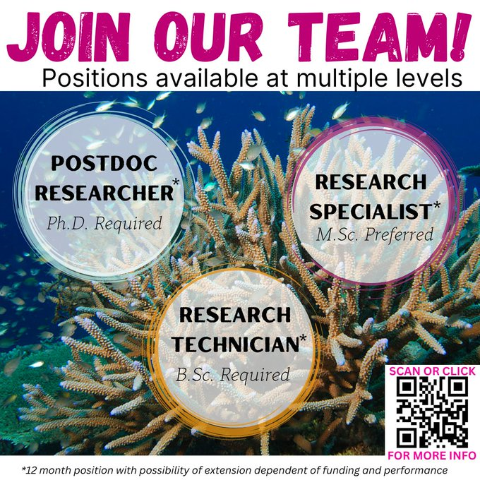 EM_OYSTER's tweet photo. 🚨Multiple positions open in @KeishaBahr interdisciplinary research lab!

A super fan group focused on coral reefs! 

Seeking individuals with or willing to learn #respy. #CoralReefs #AcademicJobs #ResearchJobs #forthecorals #postdocposition 

🗓️ July!
➡️https://t.co/NAdCeETA1l https://t.co/g7BI5CyM86