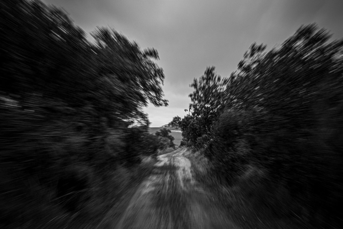 Roberto Palomo tweet media