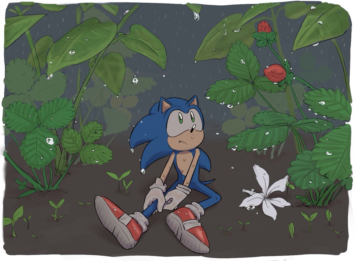 비는 하염없이 🌧️🌿 #SonicTheHedgehog #sonicfanart