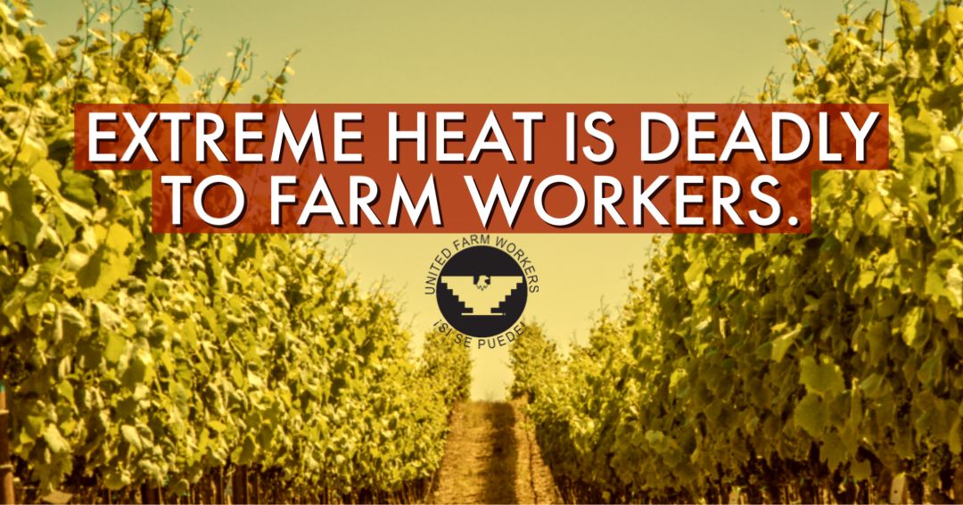 Don't let the heat turn deadly for farm workers. Donations will help us keep doing everything we can to save lives.

Stand strong with the farm workers who toil day after exhausting day under a sizzling sun.

ufw.org/heat2023 or paypal.me/ufwdonate

#Calor #WeFeedYou