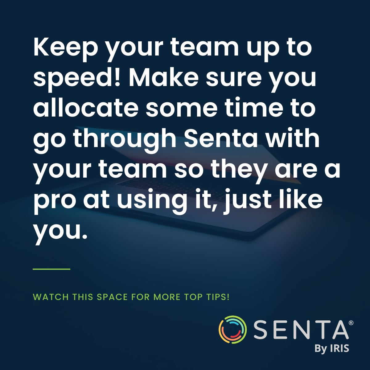 Senta By IRIS tweet media