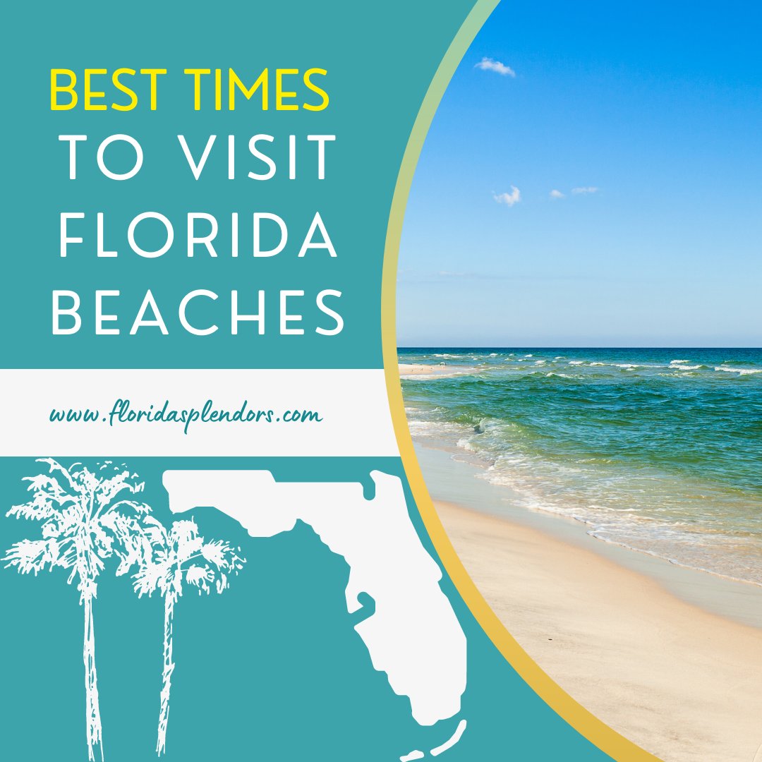 Soak up some sun and sand—it's always the right time to visit Florida beaches!

Intrigued? Here’s where you can learn more  tinyurl.com/2cckz6fn

#floridasplendors #florida #reelsoftheday #floridasunset #sunset #travel #trip #floridalife #sendmetoflorida