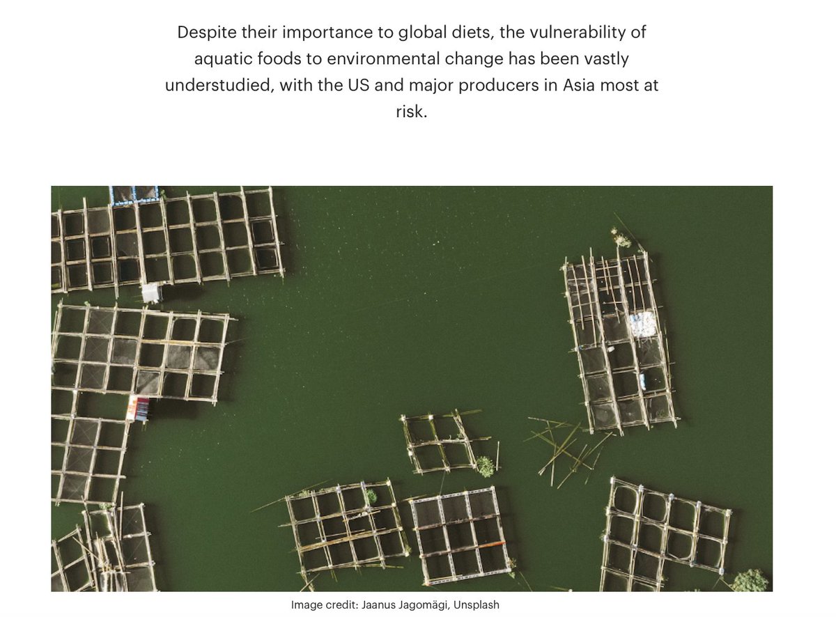More than 90% of global aquatic food production faces substantial risk from environmental change. New study in @Nature by Stanford, SRC and EAT: eatforum.org/learn-and-disc… @oceansolutions @sthlmresilience @EATforum #BlueFoodAssessment