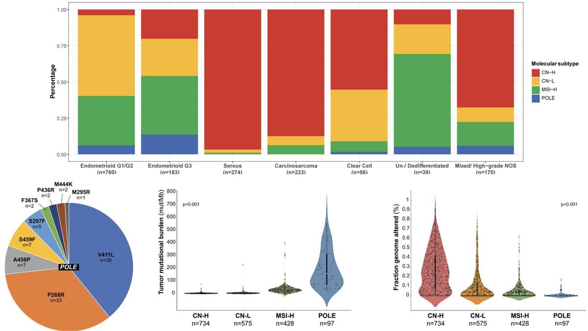There were significant differences among the 4 molecular subtypes of #EndometrialCancer

Figures below highlight
- Most common mutations for POLE
- Distribution of molecular subtypes by histology
- Tumor mutational burden (TMB) of subtypes
- Fraction genome altered (FGA) of