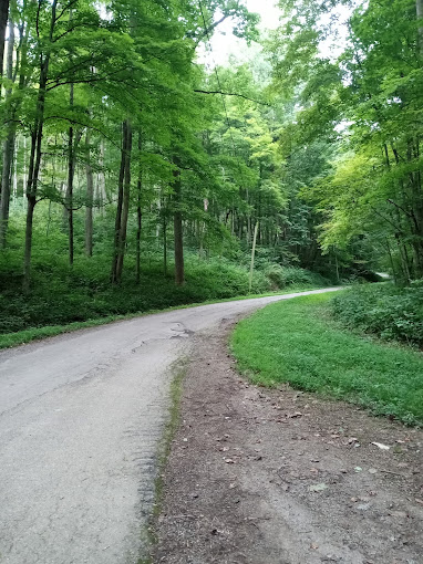 OHCHA1's tweet photo. #OHCHA #AppalachianOhioA-Z: In 1924, land acquisition for the #Pike State Forest began. The intent was to restore damaged woodland affected by fire & human interference. Today the forest contains 33 miles of trails & public hunting & fishing.
https://t.co/h5ZU14POxJ
#Nature https://t.co/QIQ8JuJ2Xu