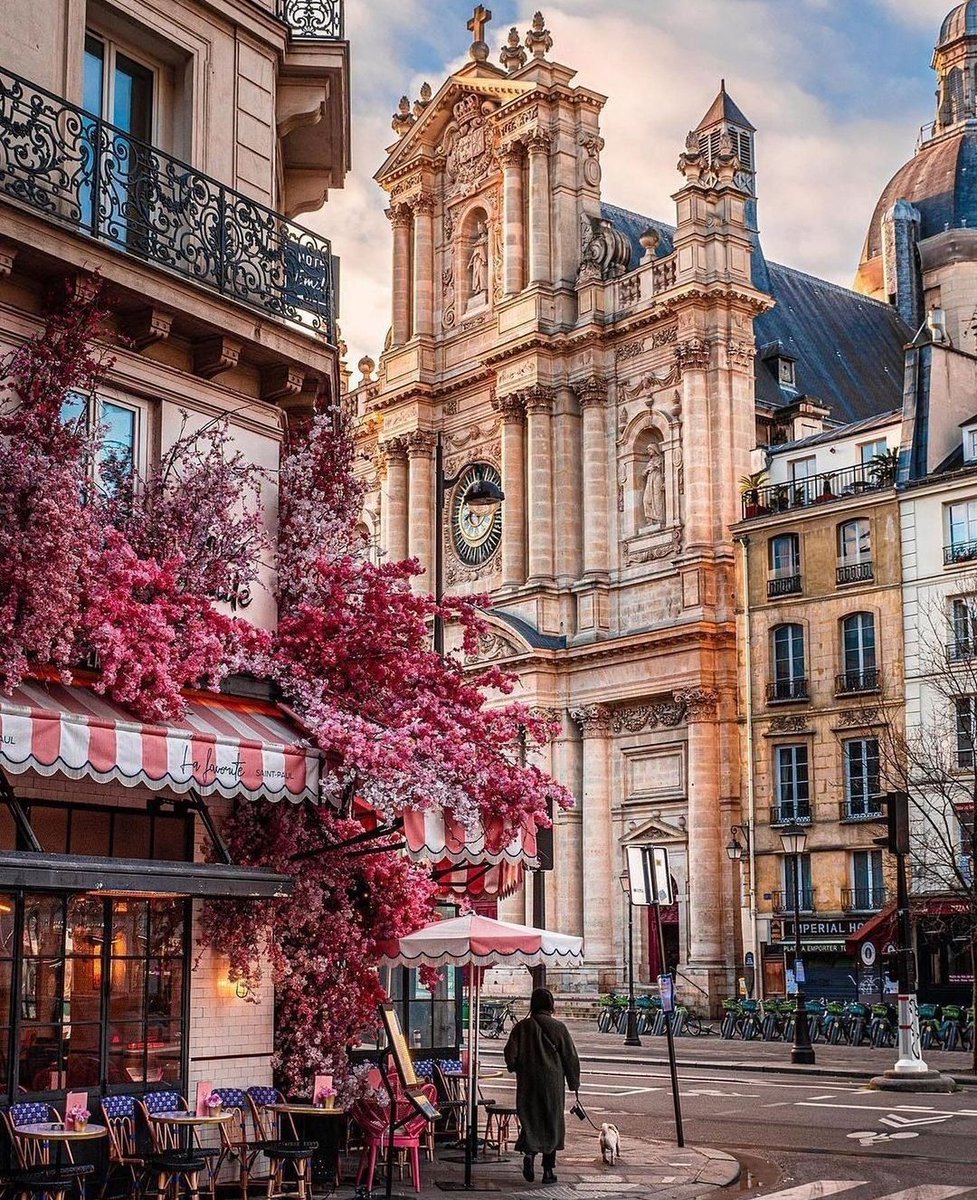 Travel Universe tweet media