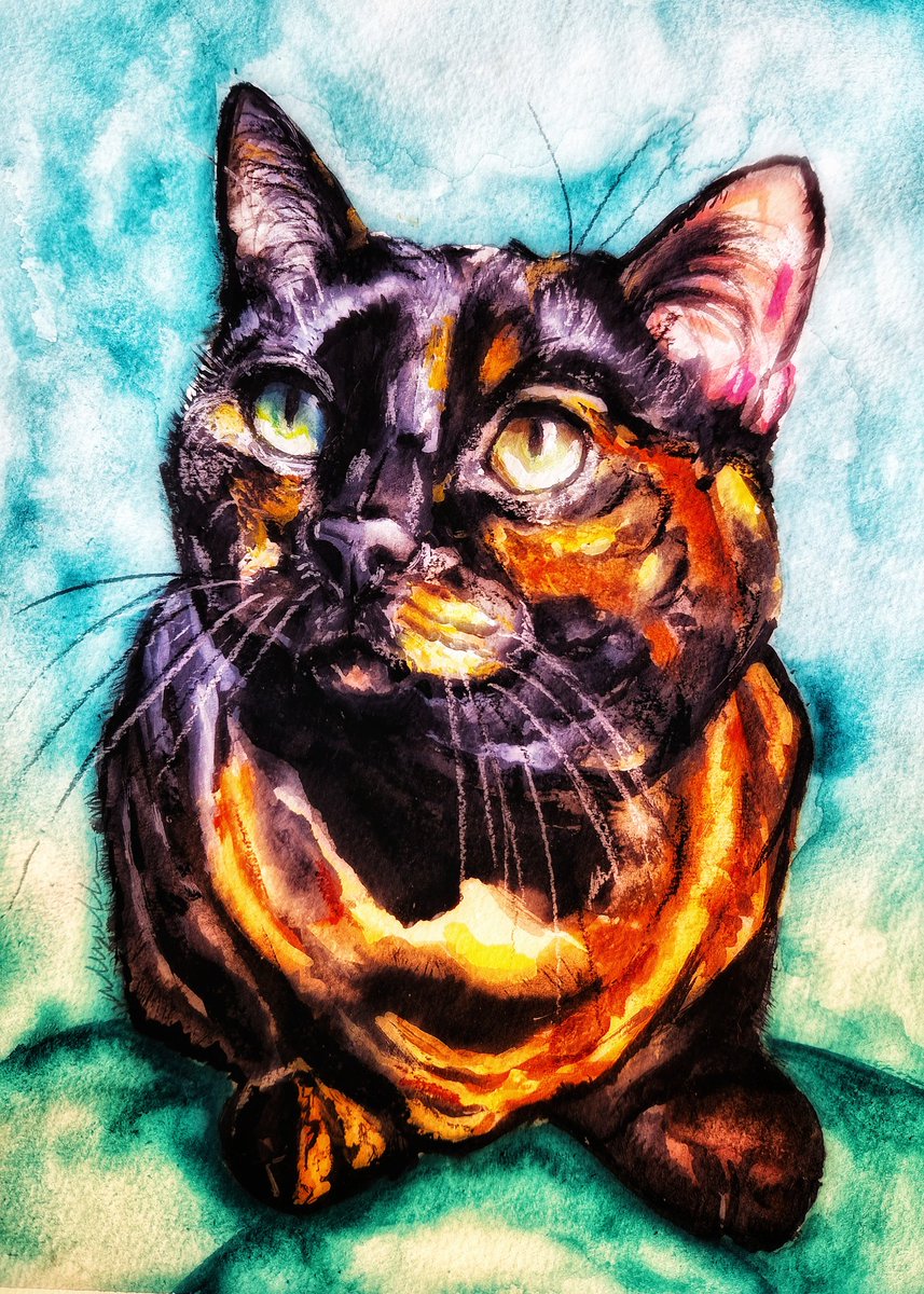 My painting of Hissie Missy is complete 💕 @stripeyspotty 💕

I love how the orange contrasts with the darker colours and green 😍  

If you would like a pawtrait DM for more info 🥰 Always love a RT too 😽

#CatsOfTwitter #petportrait #commissionsopen #cats #watercolourpainting