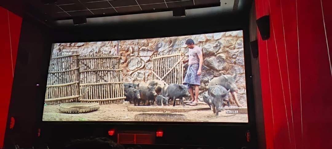 geethakarthick's tweet photo. #பசுக்களை எதிர்த்தால் #பன்றி தான் மேய்க்க முடியும் 

#கர்மா https://t.co/ys8XMF2ol0