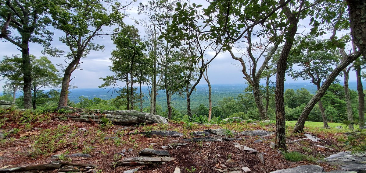 VirginiaDCR's tweet photo. Ten acres of #oak forest has been added to the eastern-most ridge of Bull Run Mountains Natural Area #Preserve. Grant funding came from the Virginia Land Conservation Foundation (https://t.co/eRz5w4N2IO). Learn more at https://t.co/RfzkePOTnI #conservation #vlcf https://t.co/XZLRKXxjN6