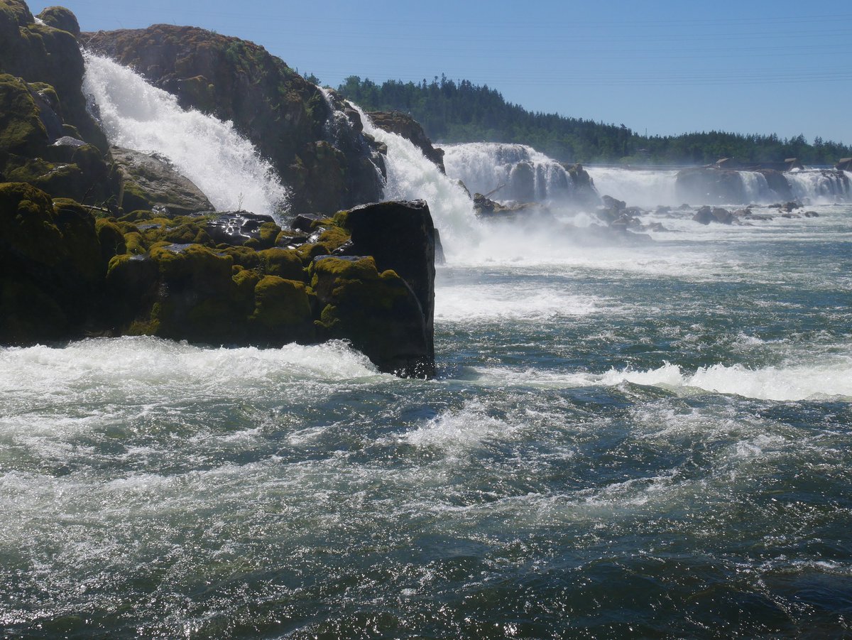 Huge News! After many years of collaboration, careful planning, and bold visioning, we have signed an Agreement with <a href="/portlandgeneral/">Portland General</a> to assess the potential of building public access on the west side of the Falls.
willamettefallstrust.org/blog/2023/6/21…