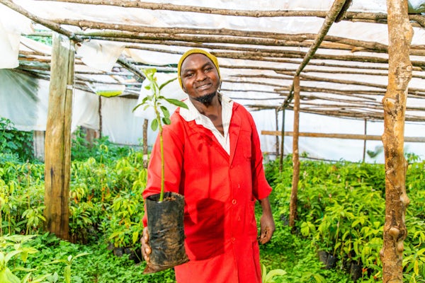 Fonds international de développement agricole tweet media