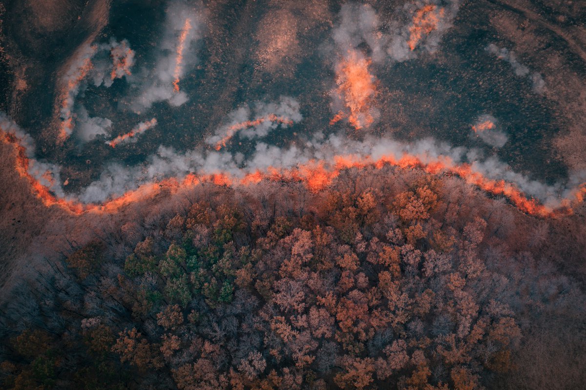 CDCgov's tweet photo. Is there #wildfire smoke in your area? Follow these tips to stay safe.  

✔️Avoid outdoor activity.  
✔️Wear an N95 respirator fitted correctly.  
✔️Set your air conditioner to recirculate mode.  

Visit @CDCenvironment's website for more information: https://t.co/c4teKNTBF3 https://t.co/ZZxeCPMKvN