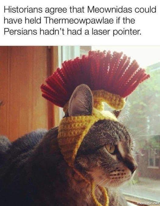 TSEofPB's tweet photo. For fans of ancient history, cats, and puns.
#NicheHumour https://t.co/kkQbXiE4Am