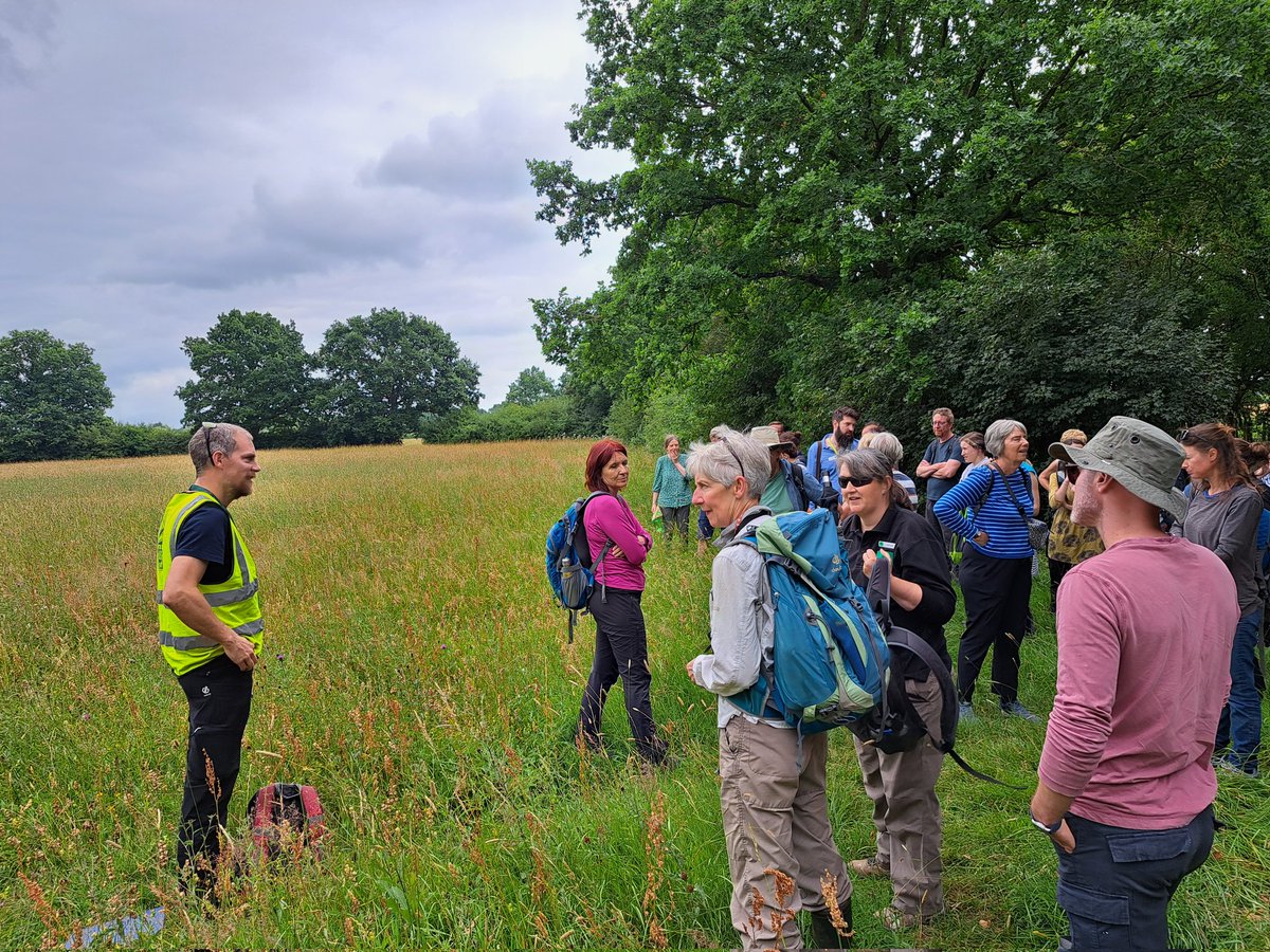 kateystephen's tweet photo. Thank you to @MardenWildlife and @KentWildlife for showing the NE grassland network the enormous returns that can be achieved through a community project. Fantastic restoration and community involvement @NESussexandKent @NaturalEngland https://t.co/jHuBuObvLI